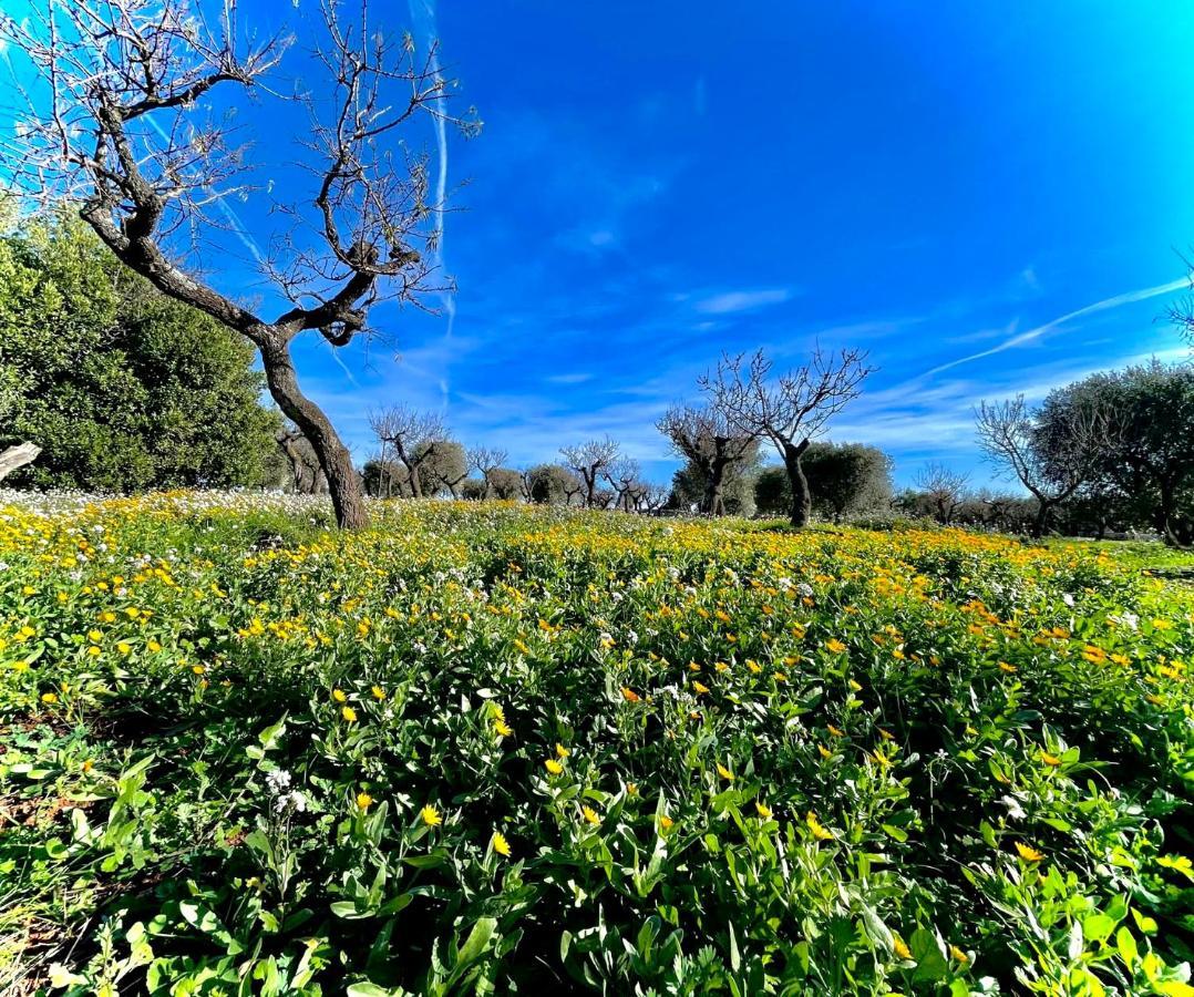 Antica Masseria Padresergio Exterior photo